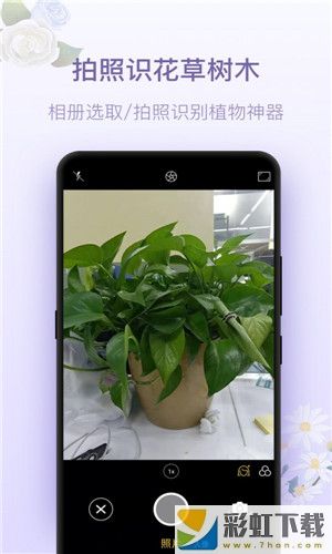 拍照識(shí)花神器app手機(jī)版下載