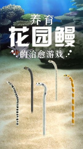 Garden Eel（養(yǎng)育花園鰻的治愈游戲）