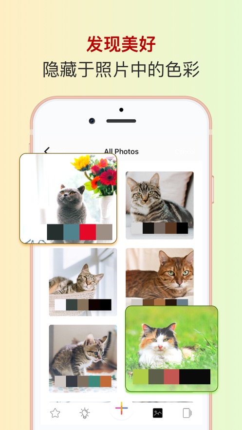 色采 V2.5.6 蘋果版