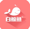 白鯨魚 v3.0.3