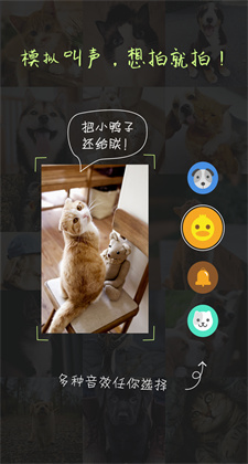 萌寵相機(jī)下載安裝最新版