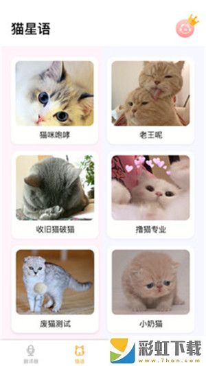 翻譯貓語app