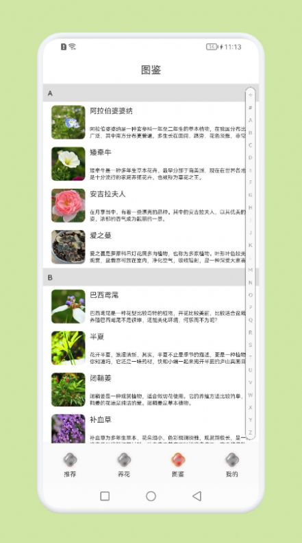 植物識別百科app