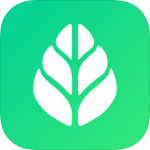 SGreen瀏覽器正式版