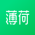 薄荷健康專(zhuān)業(yè)版