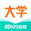 新東方大學(xué)考試備考版