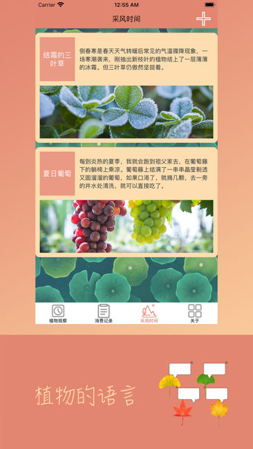 植物的語(yǔ)言