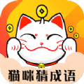 貓咪猜成語