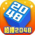 哈嘍2048最新版下載