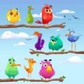 Color Birds Sorting Puzzle單機版下載