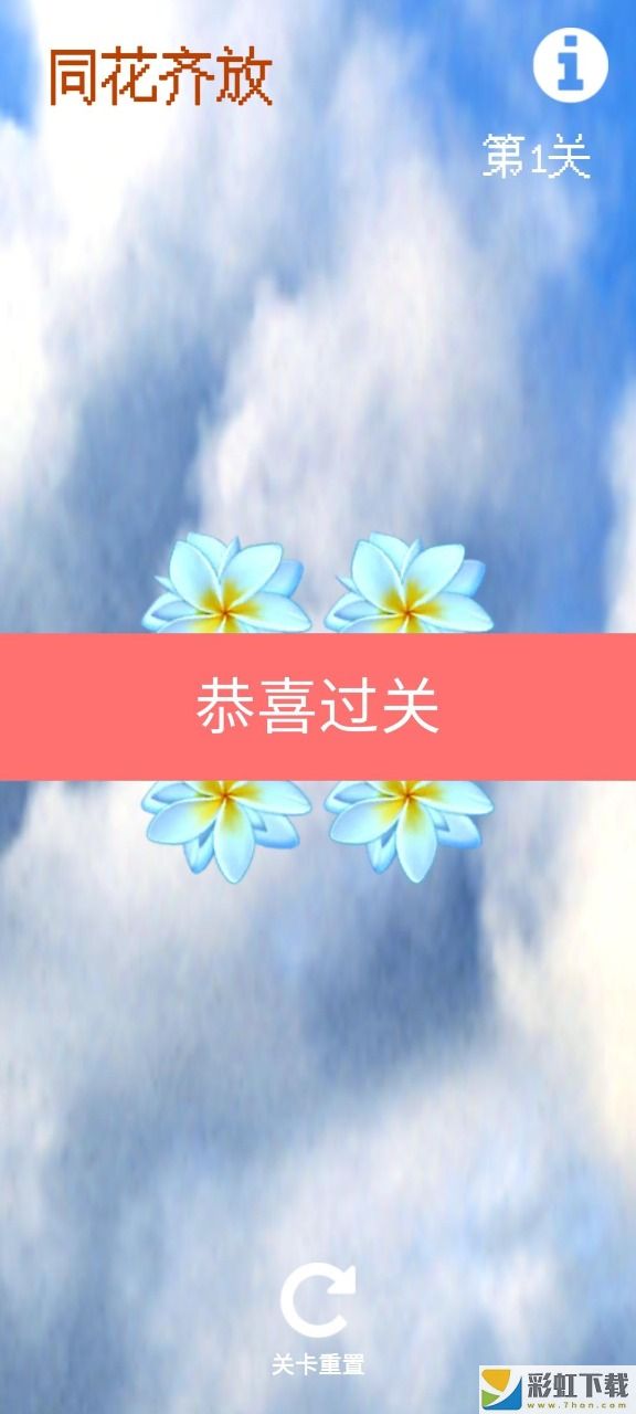 同花齊放