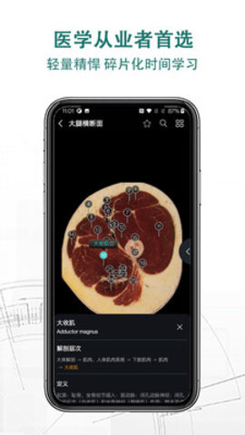 掌上3D解剖app手機(jī)版