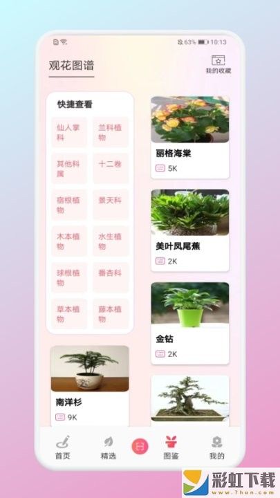 養(yǎng)花大掌柜