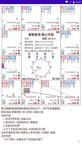 紫微星語排盤手機(jī)版