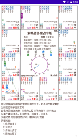 紫微星語排盤手機(jī)版