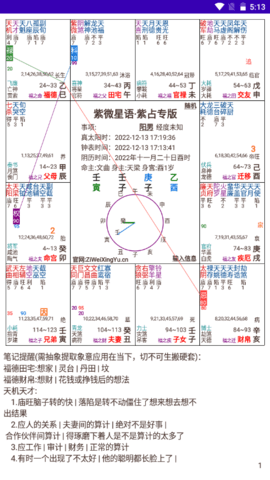 紫微星語排盤手機(jī)版