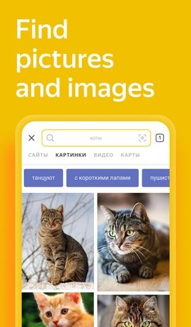 Yandex搜索引擎app