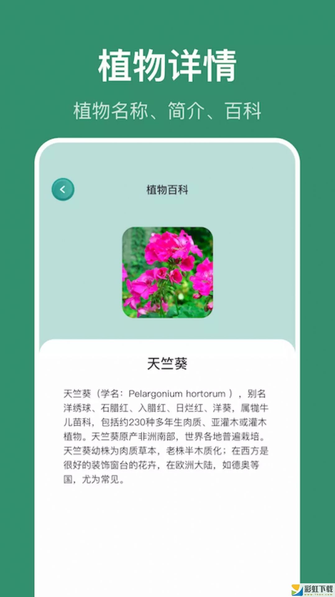 小黃養(yǎng)花