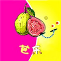 芭樂視頻app下載汅網(wǎng)站進入