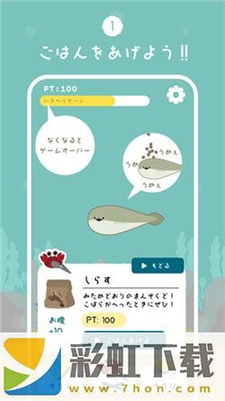 飼養(yǎng)薩卡班甲魚安卓版