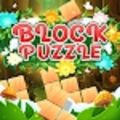 方塊拼圖仙境(Block Puzzle Wonderland)