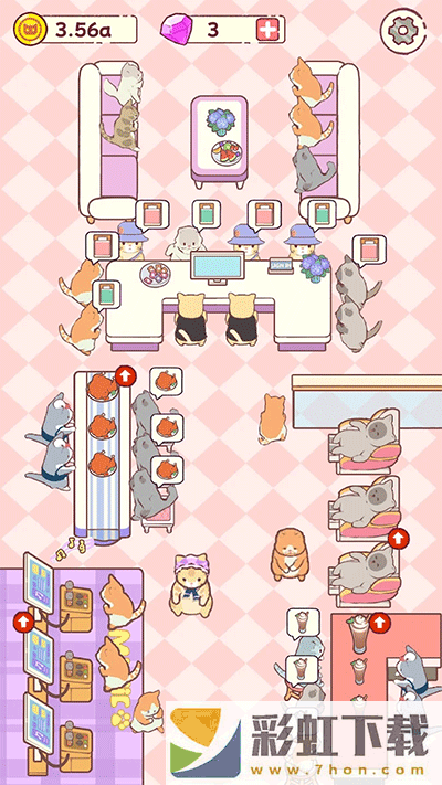 Cat Hotel