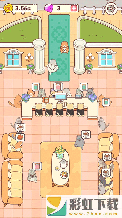 Cat Hotel