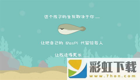 虛無(wú)魚(yú)BasPi