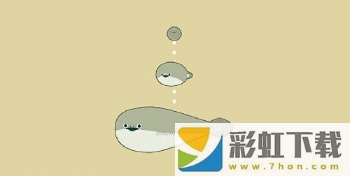 薩卡班甲魚(yú)