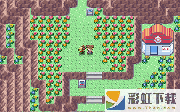 pokemmorom黑白ROM