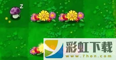 植物大戰(zhàn)僵尸生態(tài)版中文版