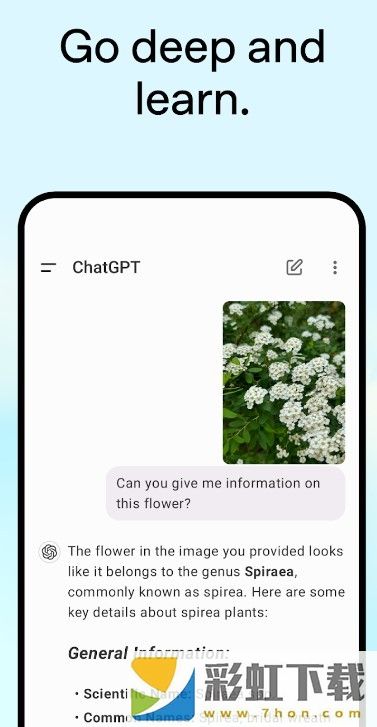 Chat GPT中文