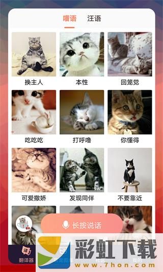 Peppycat貓語翻譯器