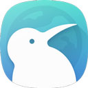 Kiwi Browser瀏覽器